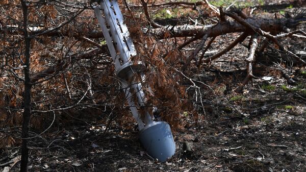 Remains of a Ukrainian Сluster Munition Near Krasny Liman - Sputnik International