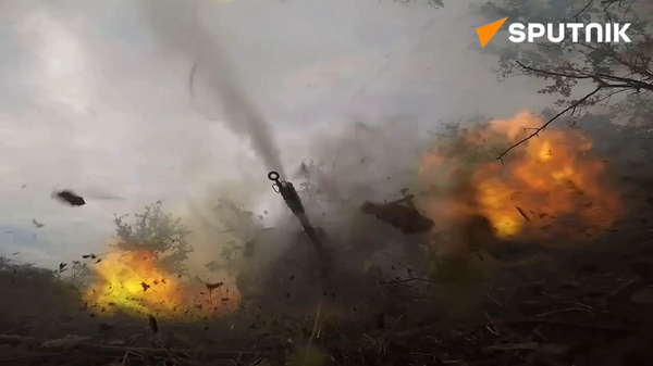 Russian D-30 howitzer destroys Ukrainian camouflaged stronghold - Sputnik International